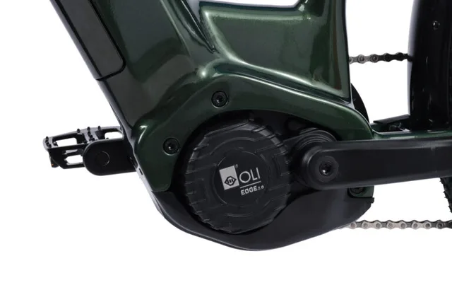 Control Express Elsykkel 17" Brukervennlig elsykkel - GREEN 