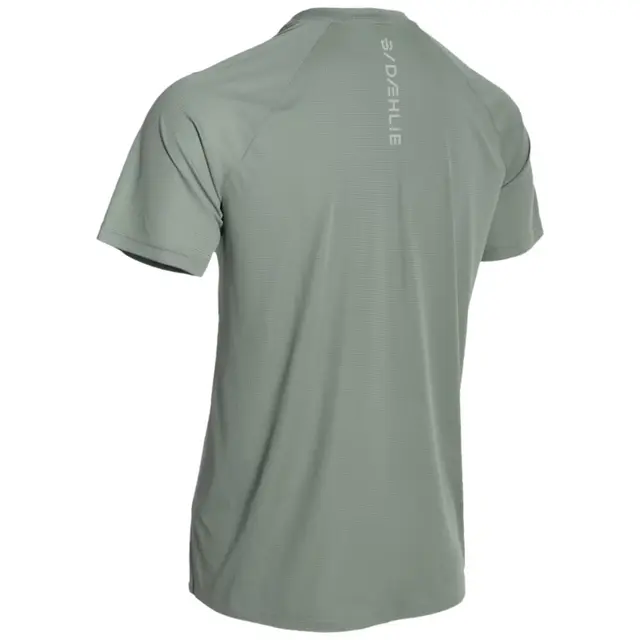 Dæhlie Herre T-Skjorte Run 365 S T-skjorte for høy intensitet, FoGr 