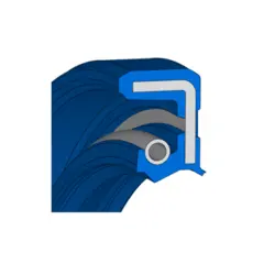 Tetn.Ring  20X 30X 7 BABSL BAB1SL - 72 NBR 902