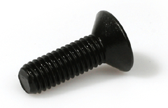 10.9 M10X100 SE SKRUE INV.6KT