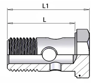 Banjobolt M 12X1.5 L=31/25,5mm 