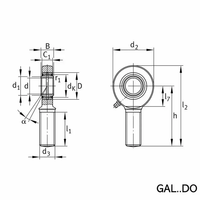 GAL10-DO INA Stanghodelager 