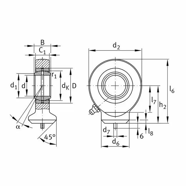 GK20-DO INA Stanghodelager 