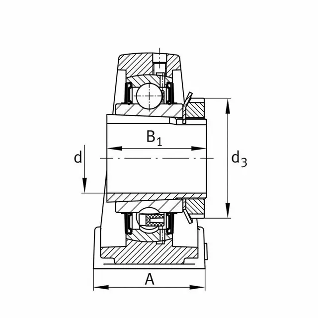 UKP207-J7 FAG Fotlagerenhet 