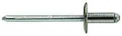 Blindnagle 4.8X25 LH AL/ST TAPD625BSLF14