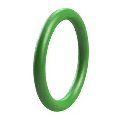 O-Ring 22,00 X 2,00 FKM 75