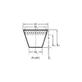 Conti Pioneer XPA 1000 1000 Ld  L= L